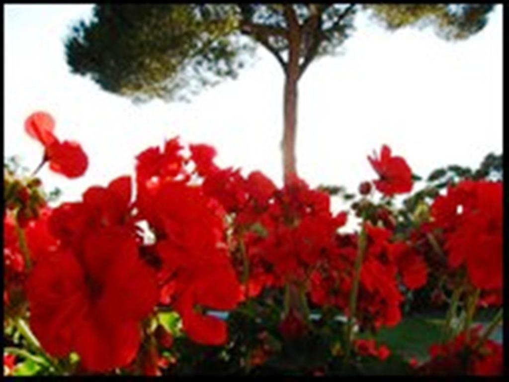 Bed and Breakfast La Tangana Rognes Экстерьер фото